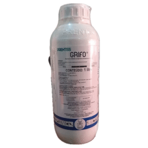 Grifo