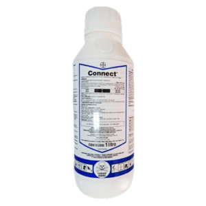 Connect