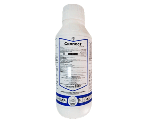 Connect