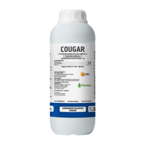 Cougar