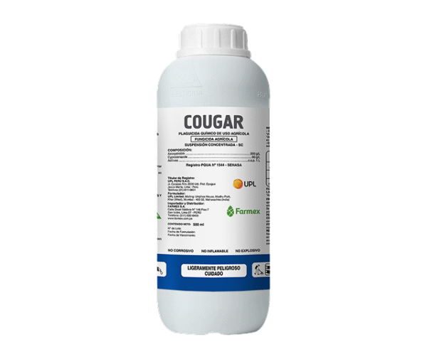 Cougar