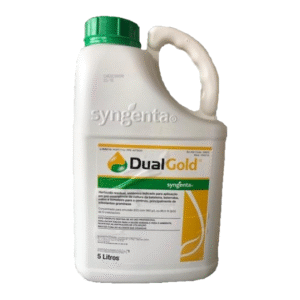Dual Gold