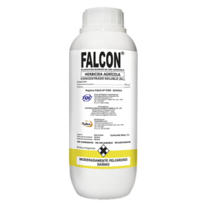 Falcon
