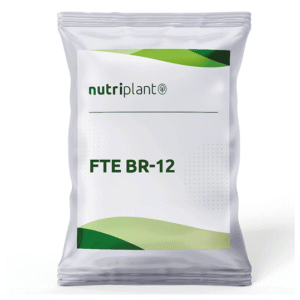 FTE BR-12