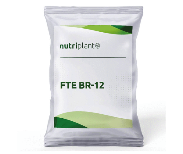 FTE BR-12