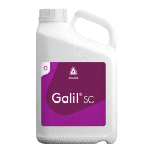 Galil SC