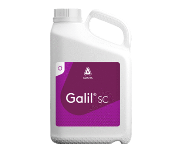 Galil SC