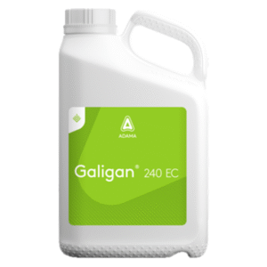 Galigan 240 EC