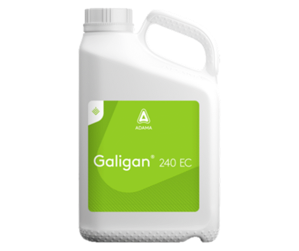 Galigan 240 EC