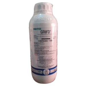 Grifo