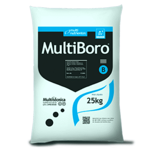 Multiboro