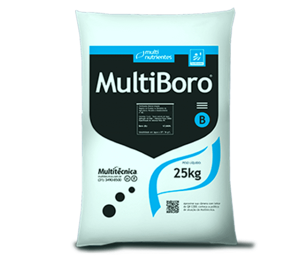 Multiboro