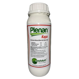 Plenan Kapa