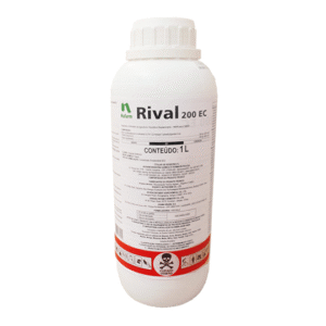 Rival 200 EC
