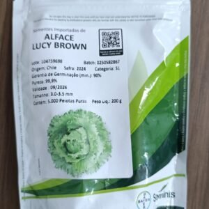 Sementes de alface Lucy Brown